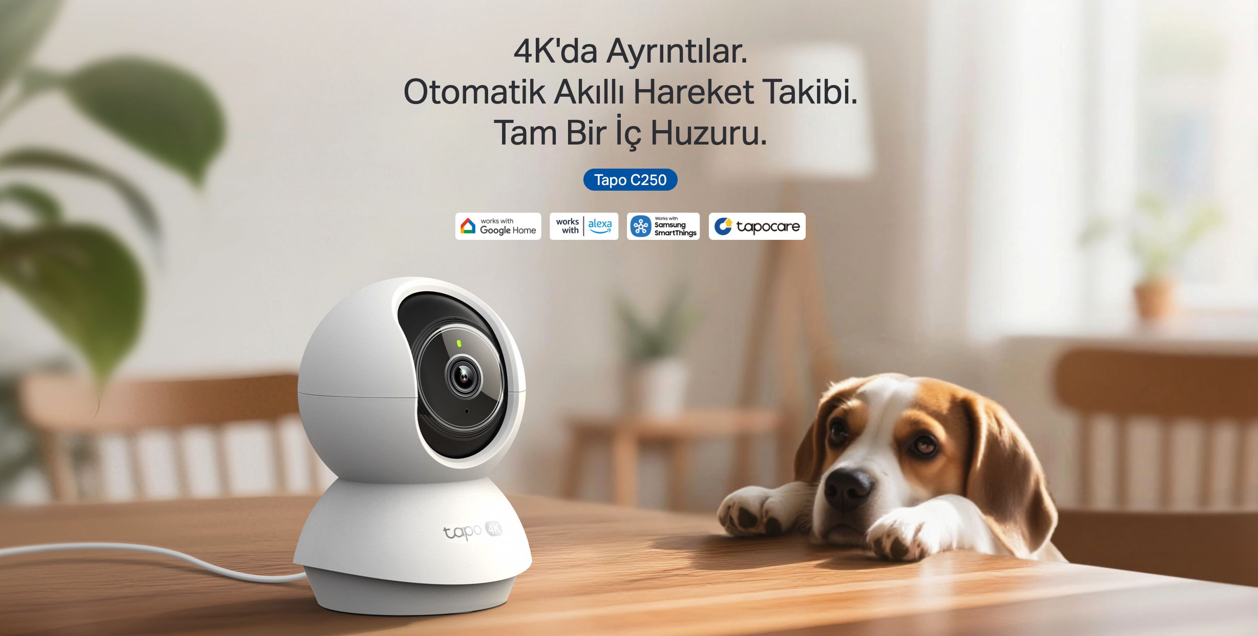 Tp-Link Tapo C250 | 4K 8mp Ultra Hd Akıllı Wi-Fi Kamera | Fiyatı